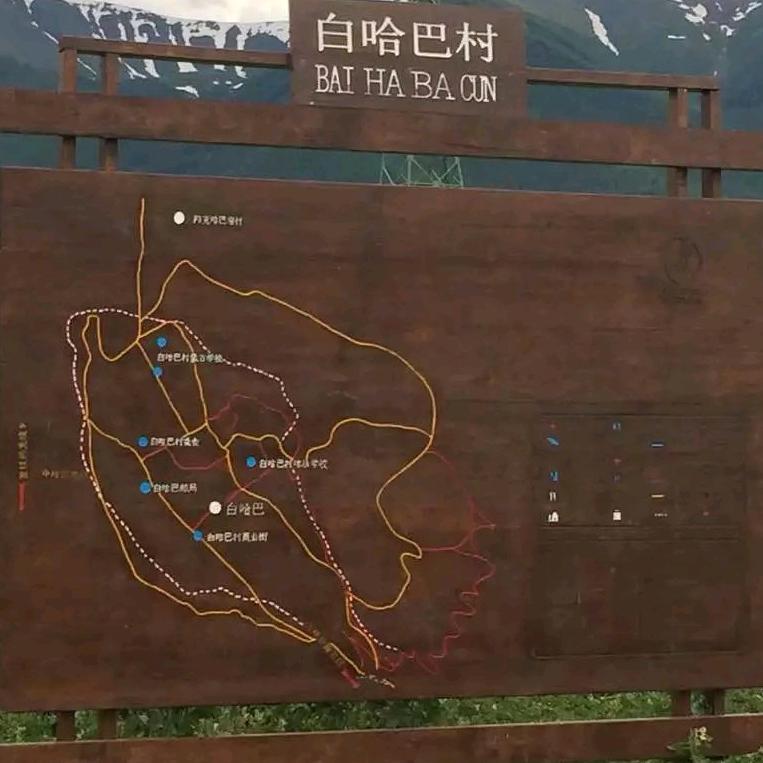 独y无二
