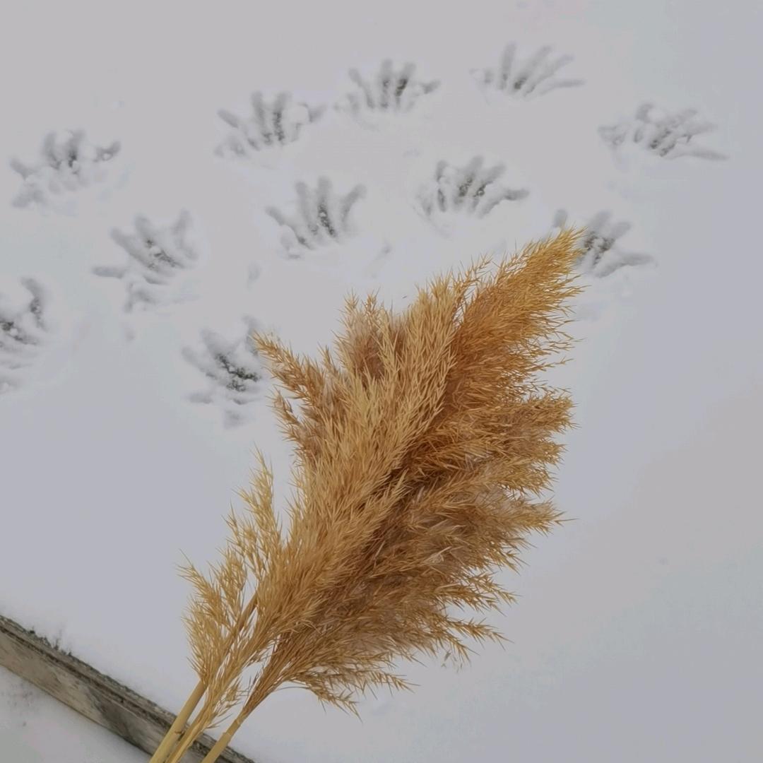 90小店员的日常