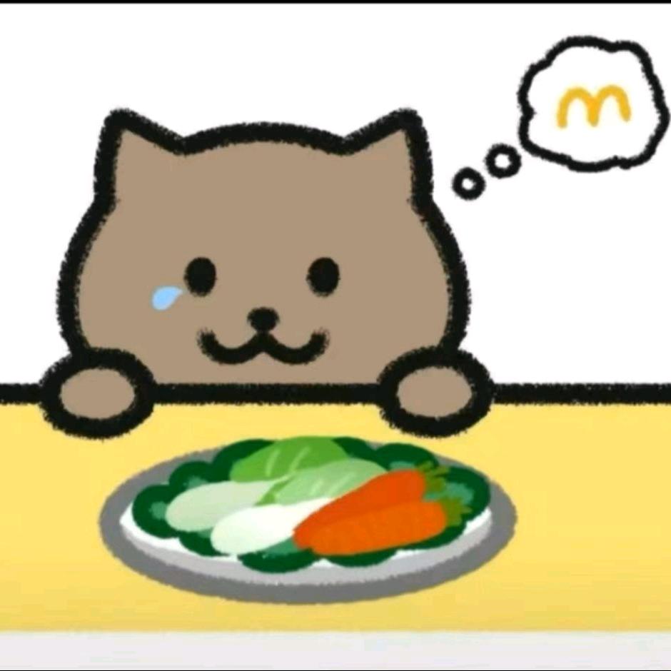 新手