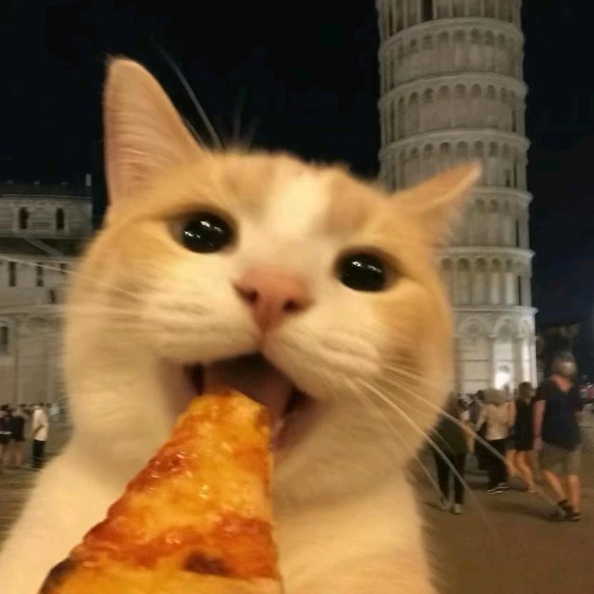 佟𝓏𝒽𝑒𝓃𝑔 ᥫᩣ