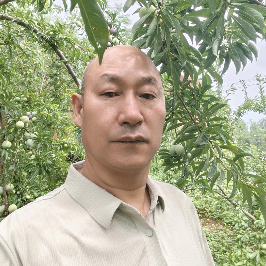 戏迷王琪