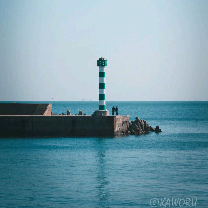 一棵🌾
