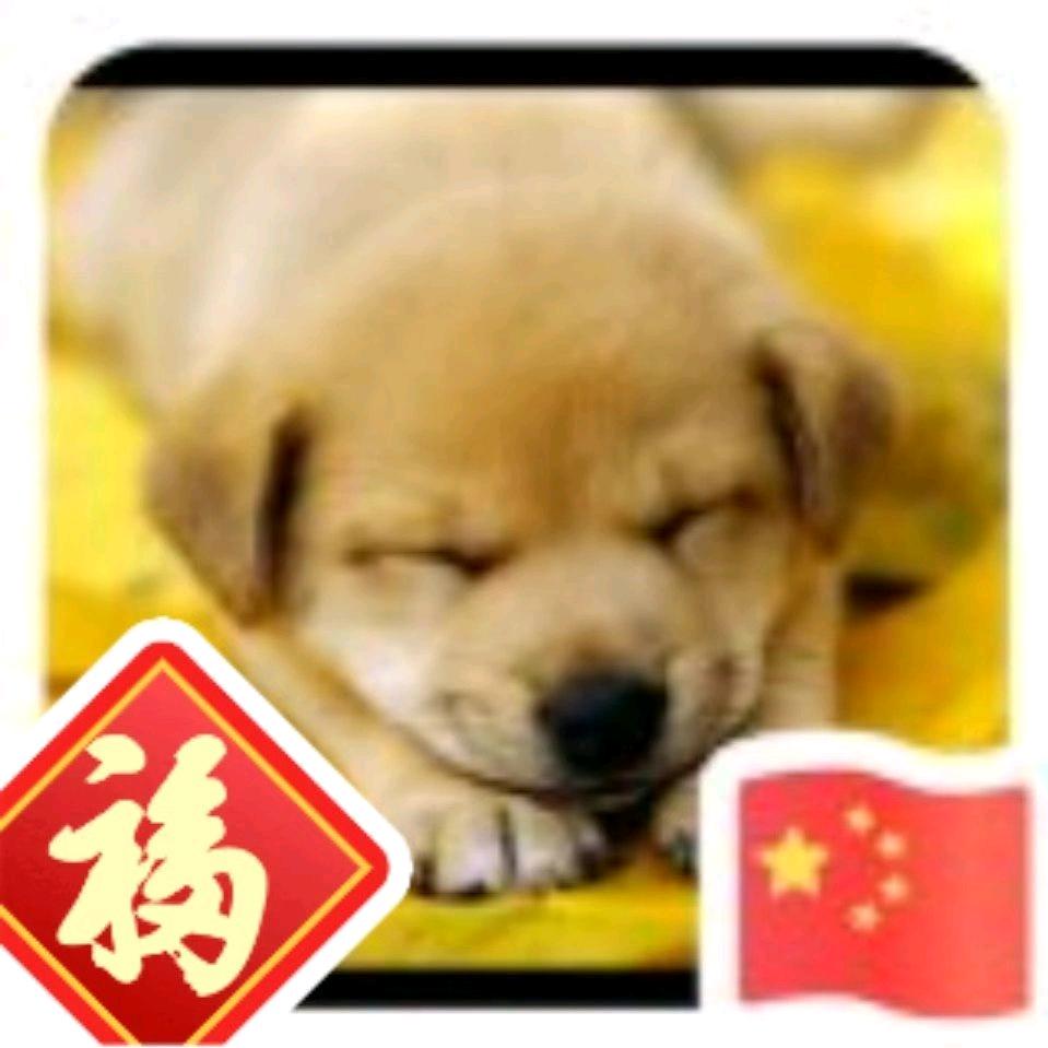 小武乒乓