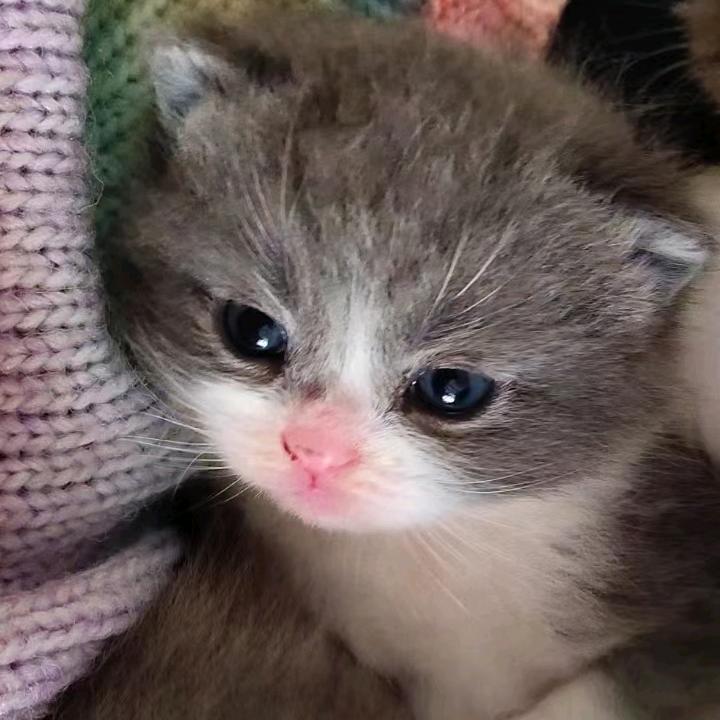用真情换不来真心