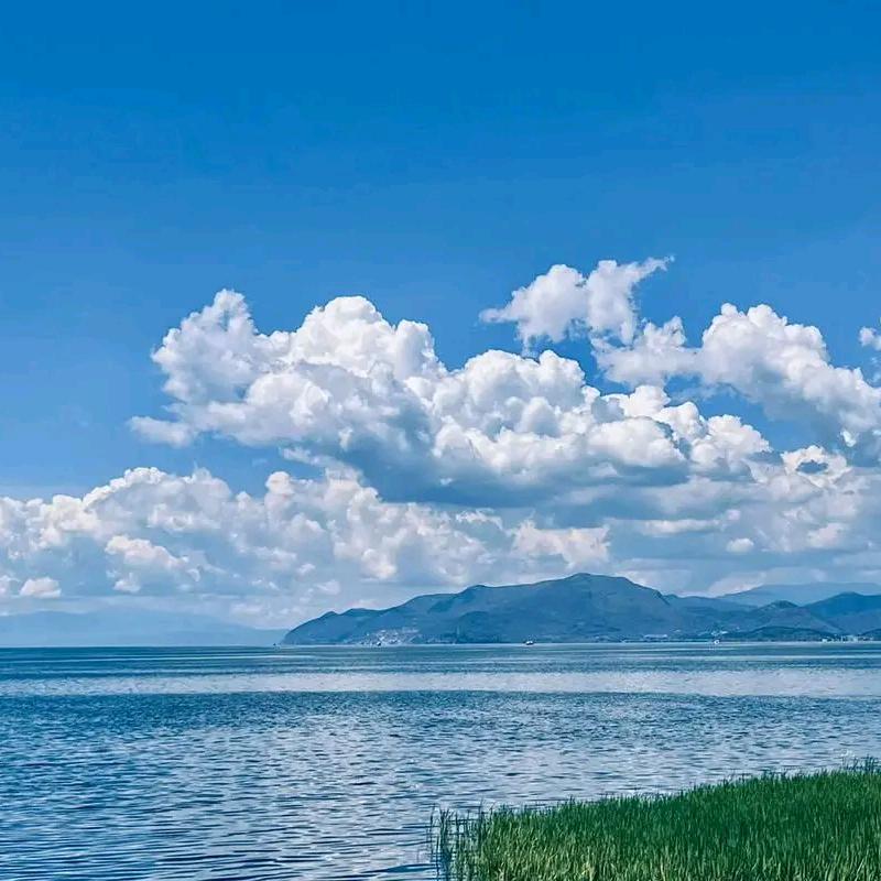 信念