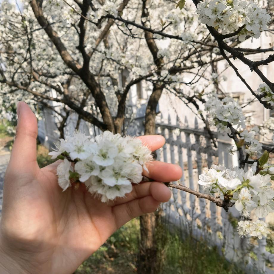 好生好生