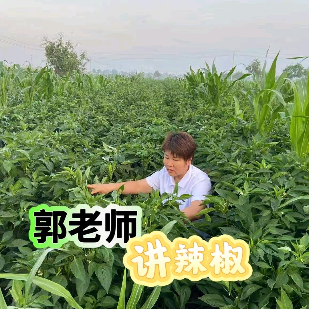 善堂镇巧娣农资2早上4：30—6：30直