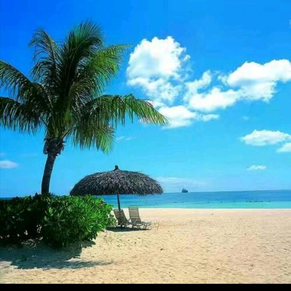 艺海涛涛