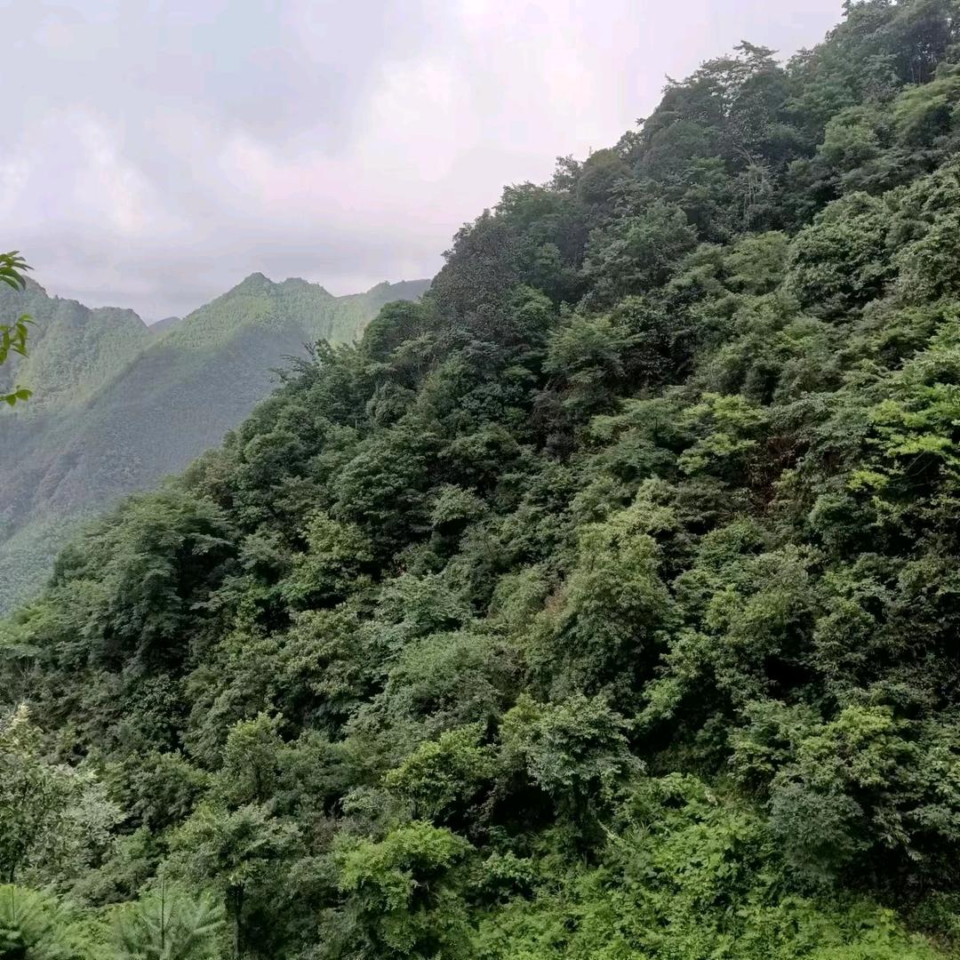 山村小农民