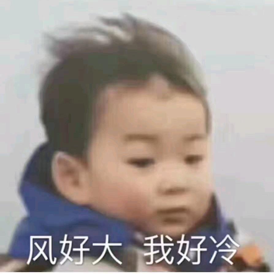 散步的蚂蚁
