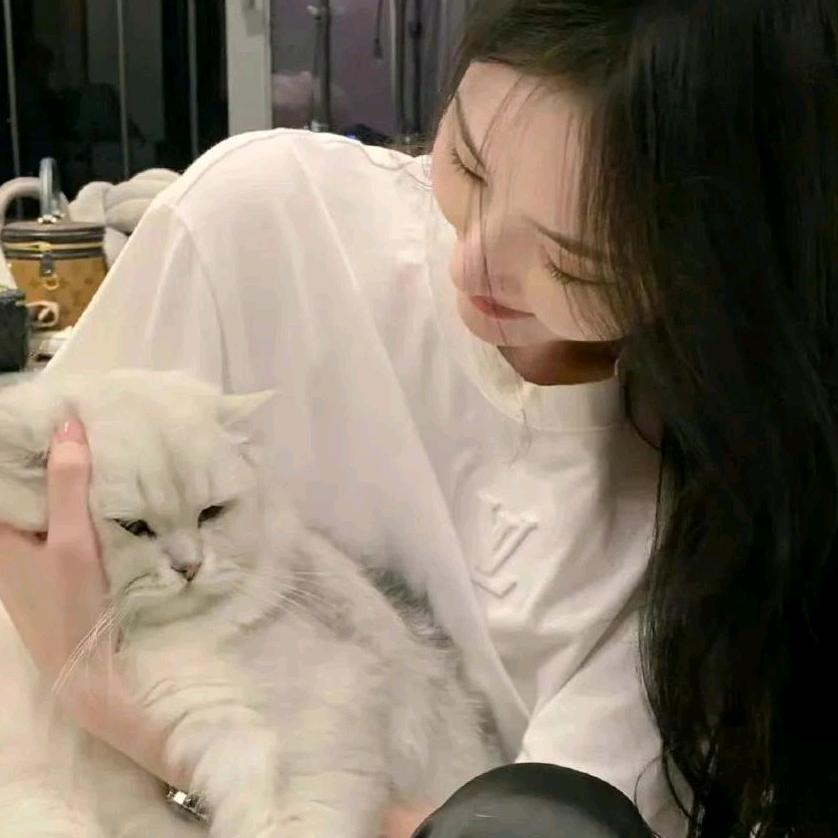 走走婷婷