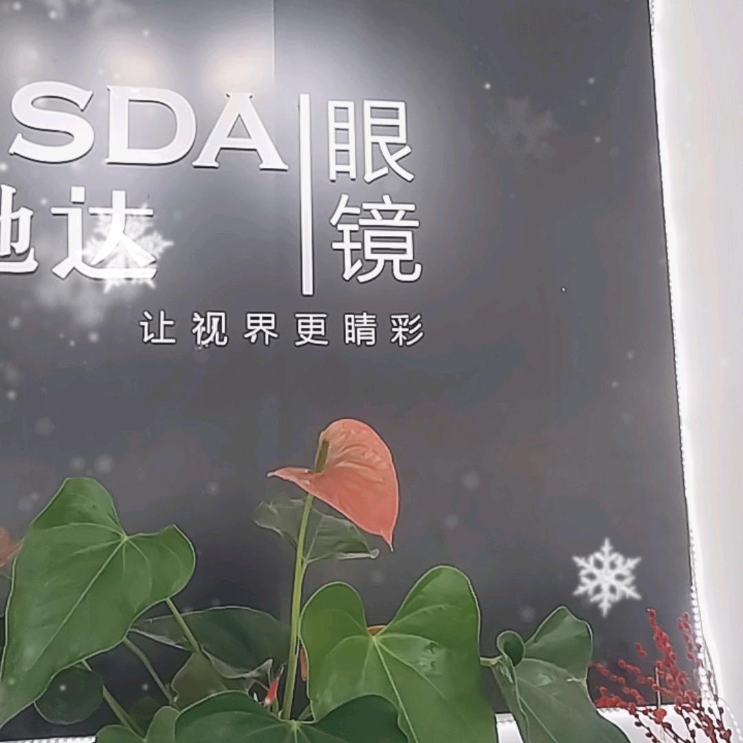 阳东朗世达眼镜