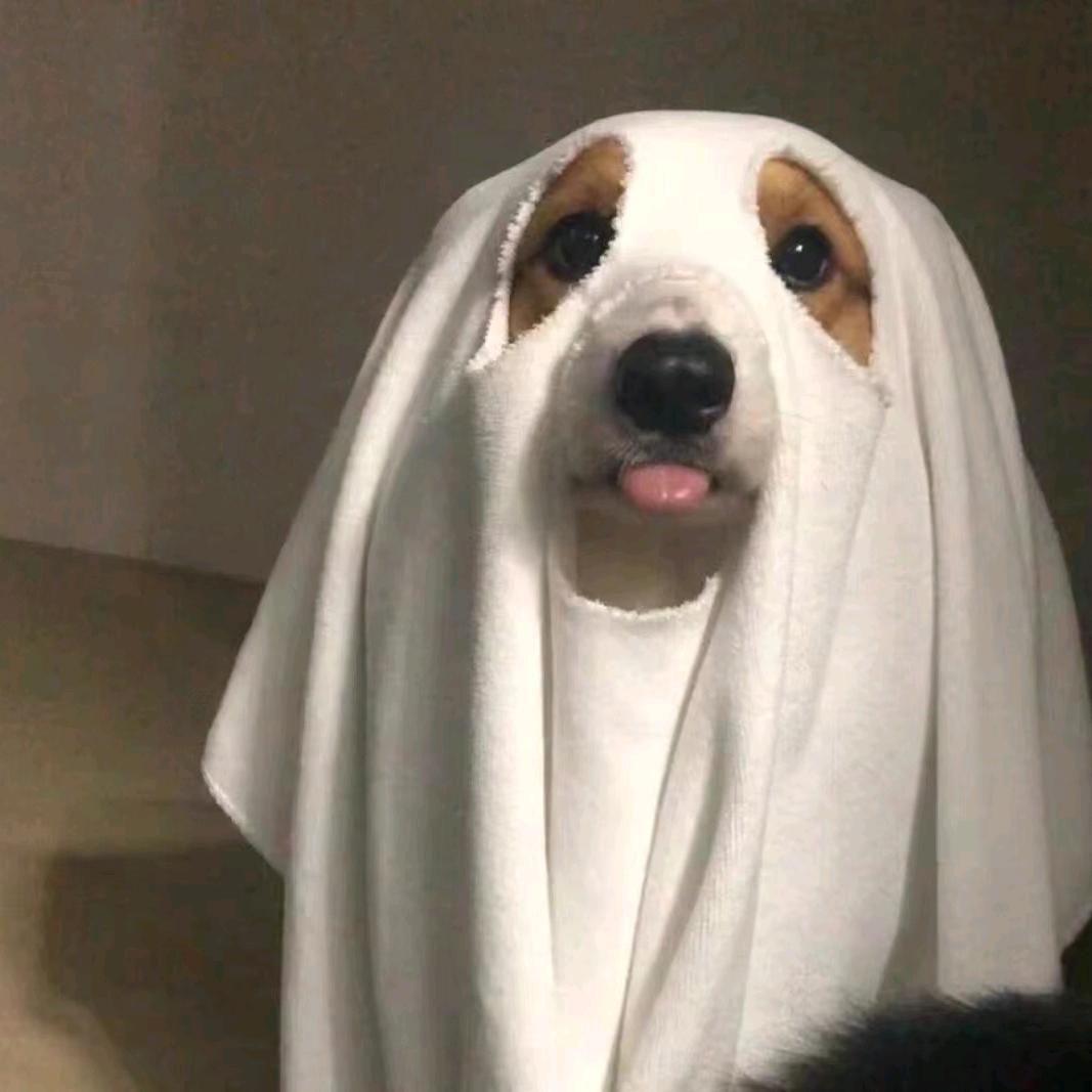 在超市想美女被壁咚