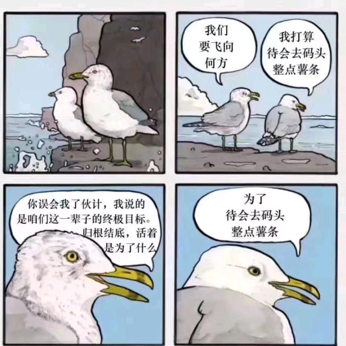 宽鹏