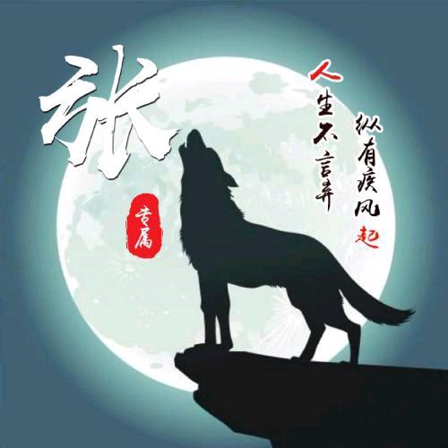 杰瑞弓长