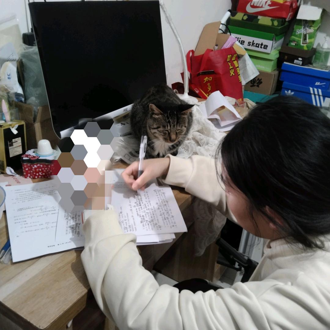 ꧁꫞真❤️换真情꫞꧂