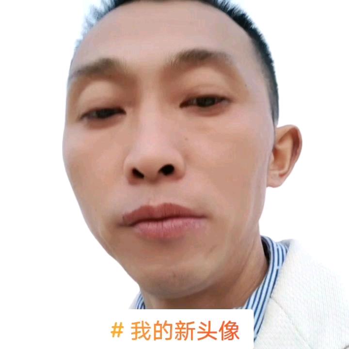 一网情深