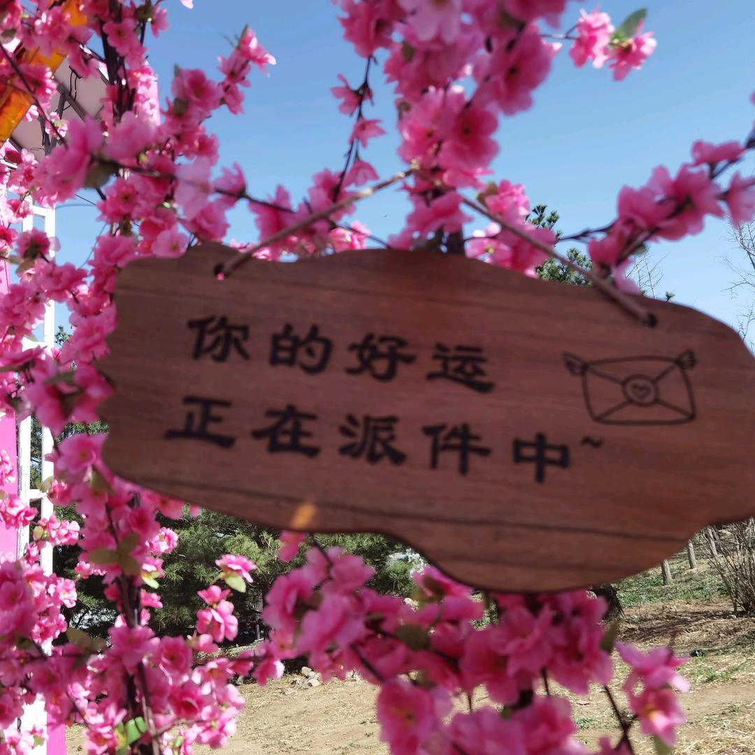 ≈大白痴琼