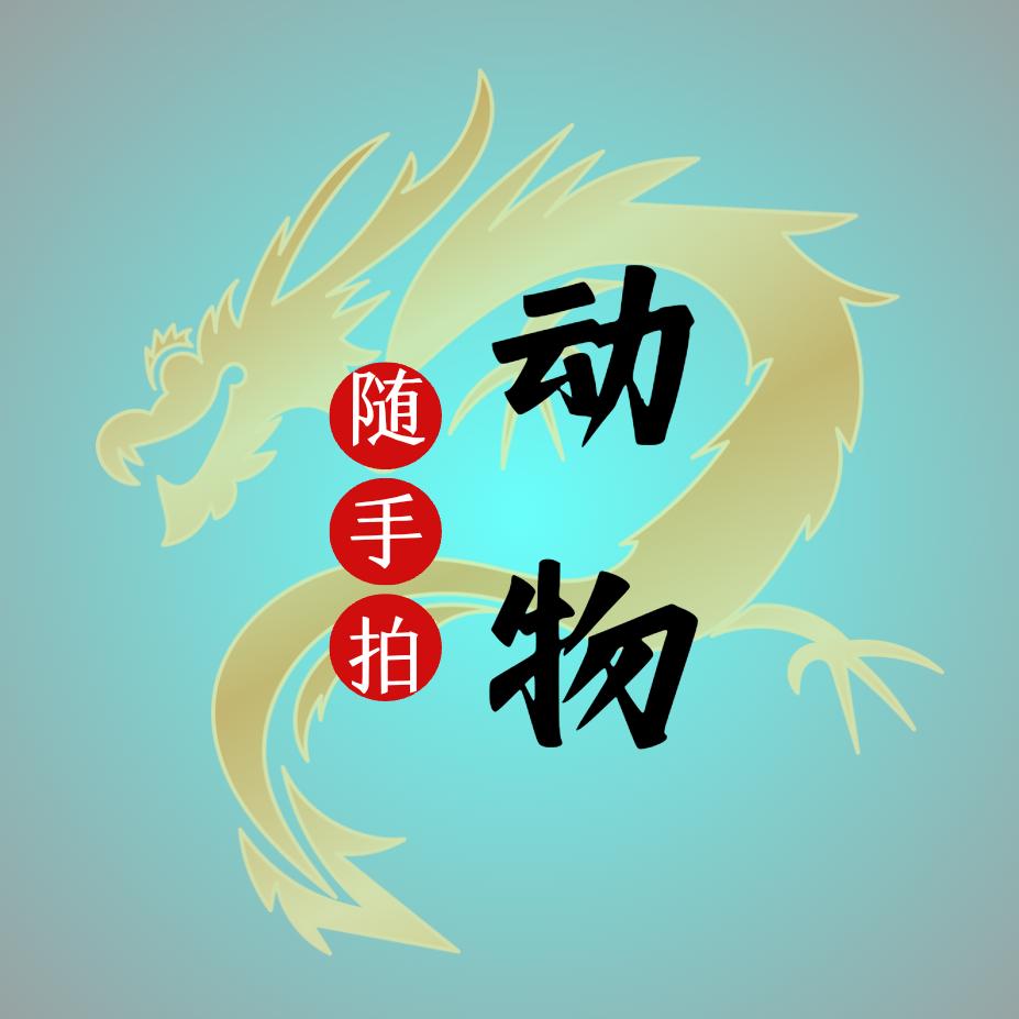动物随手拍