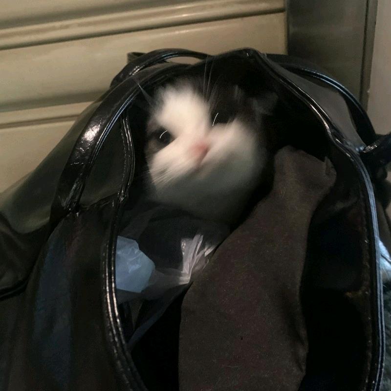 萝卜