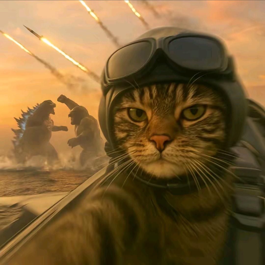 我在看哥斯拉打架