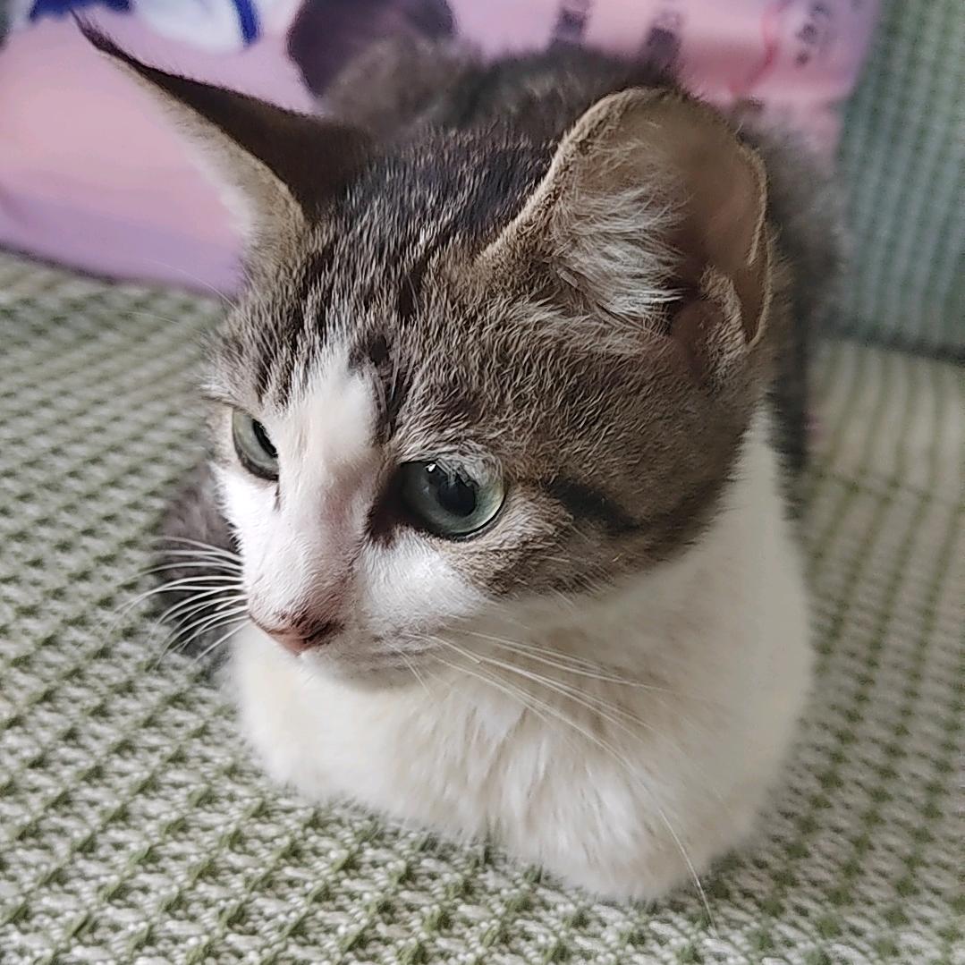 分手还把锅带走