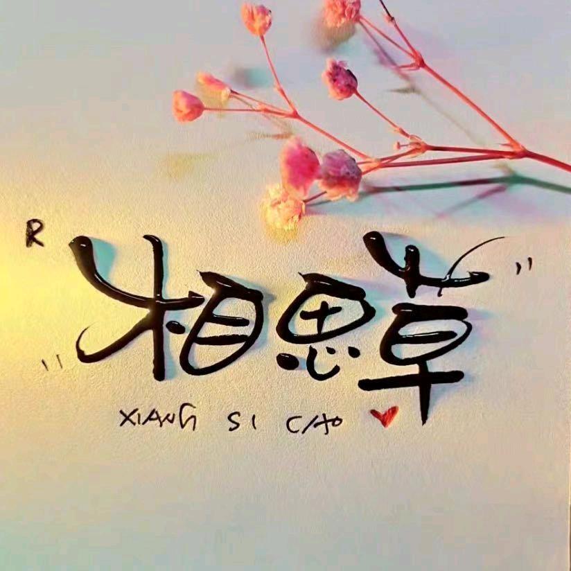 相思草家纺…李上亿