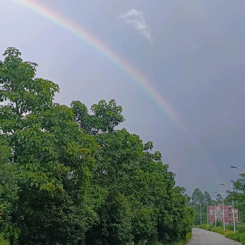 珍惜✨️✨️