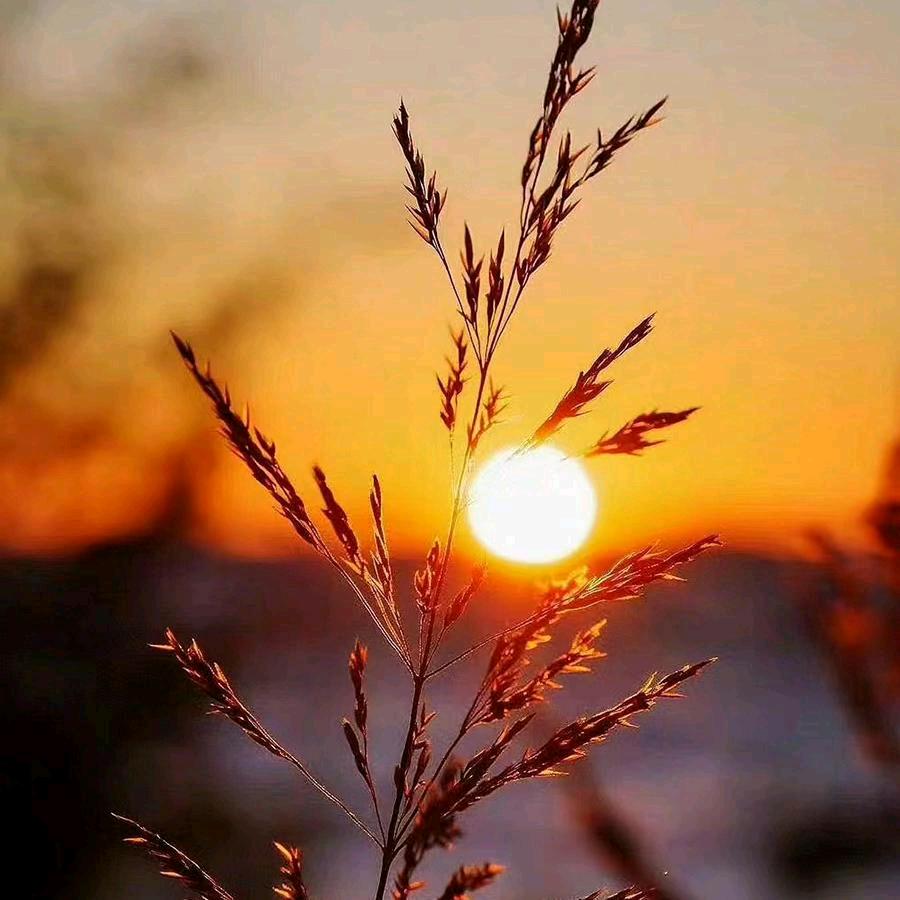 ꧁💞夕阳漫步💞᭄᪲ᩚ꯭ᩚ꧂