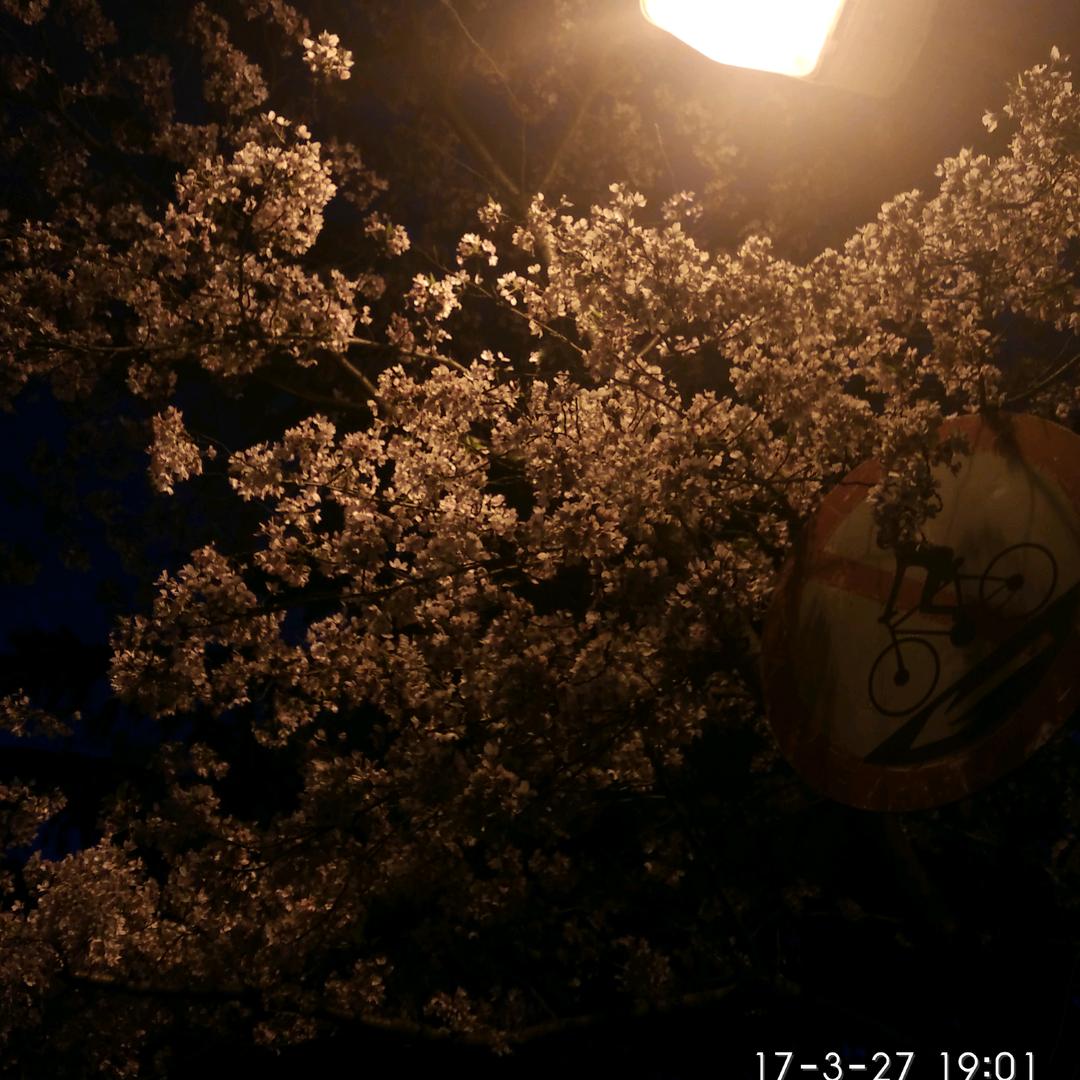 天界