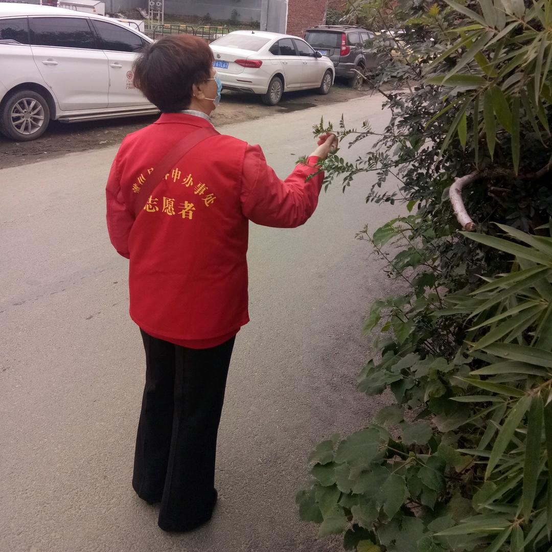 平凡人家