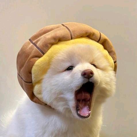 核桃味瓜子