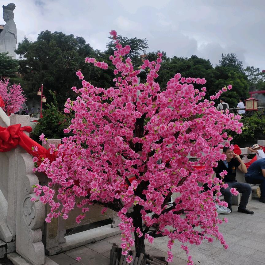 T…N…L…爱在天涯