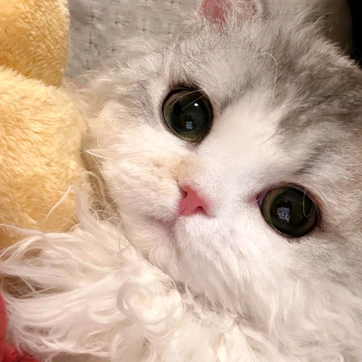 晨曦
