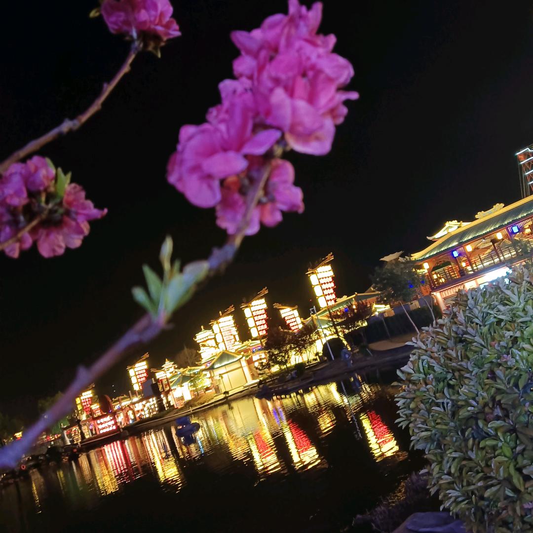 三羊开泰
