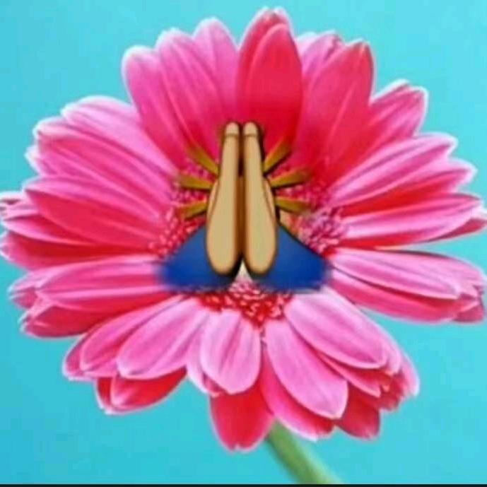 མི་ཚེ།
