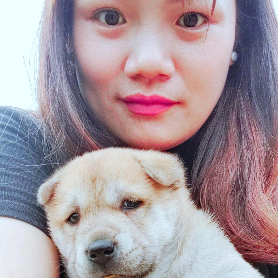 金豆是只田园犬🐶