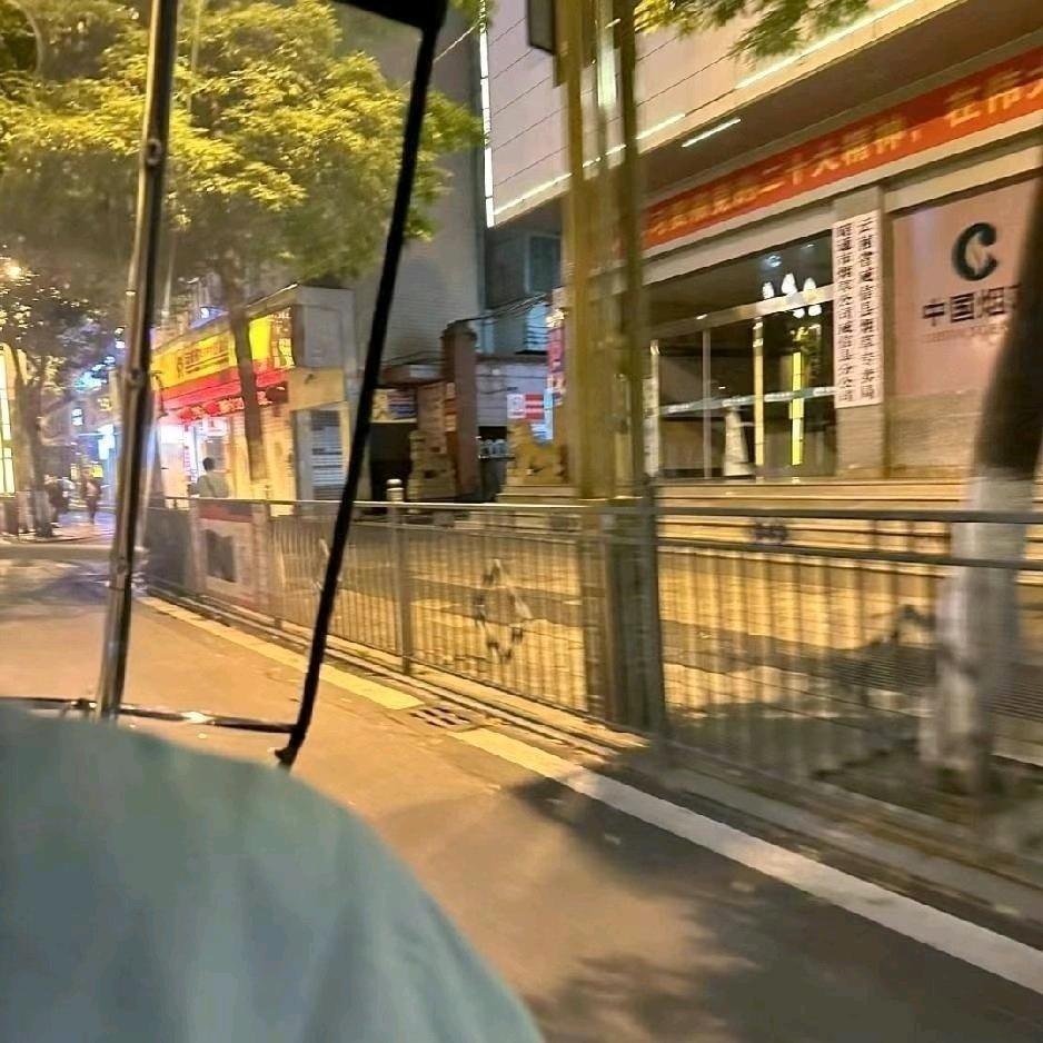 王不归
