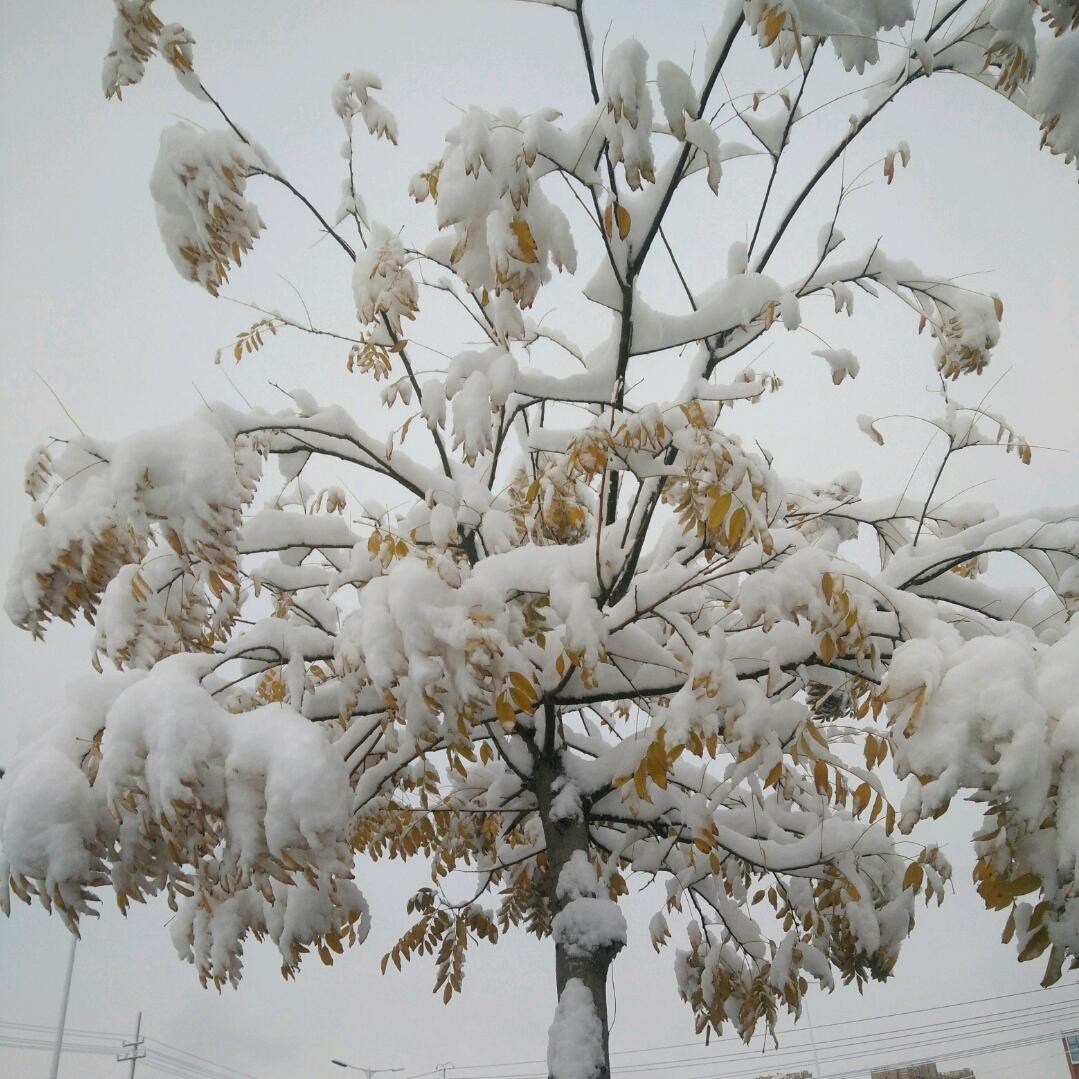 ღ᭄韦张不断໑ຼ