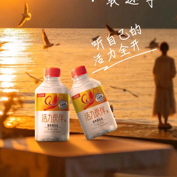 骑猪闯天下