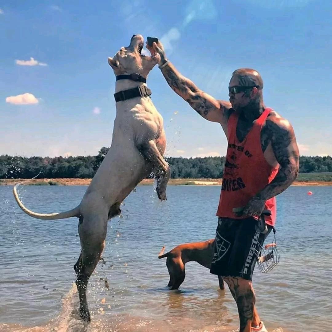 豫西冷峰～公益护农