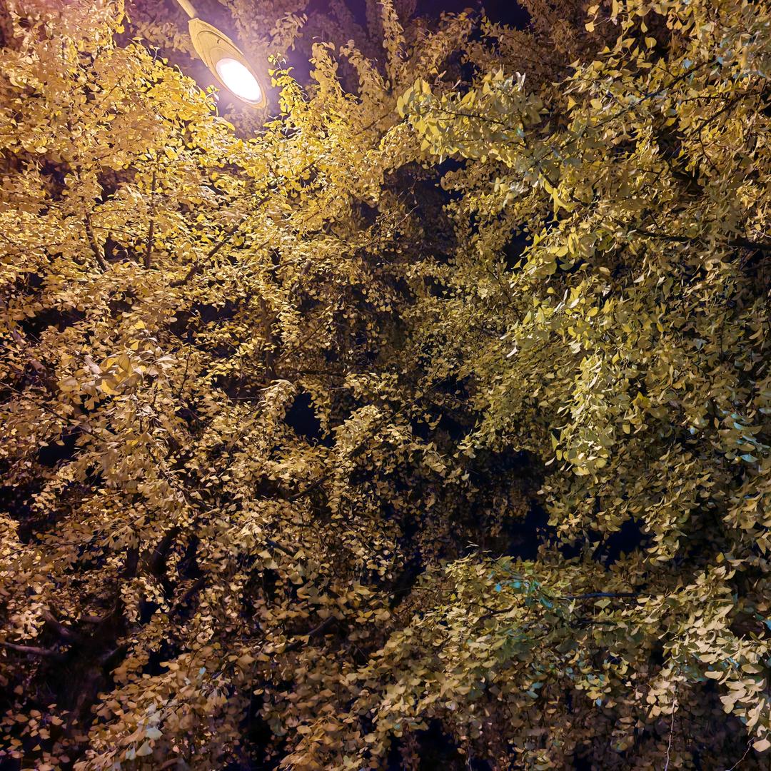 小ℳ𝒶 ᥫᩣ快跑