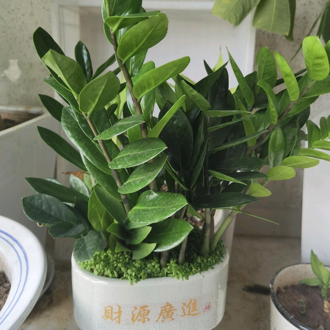 无言以对