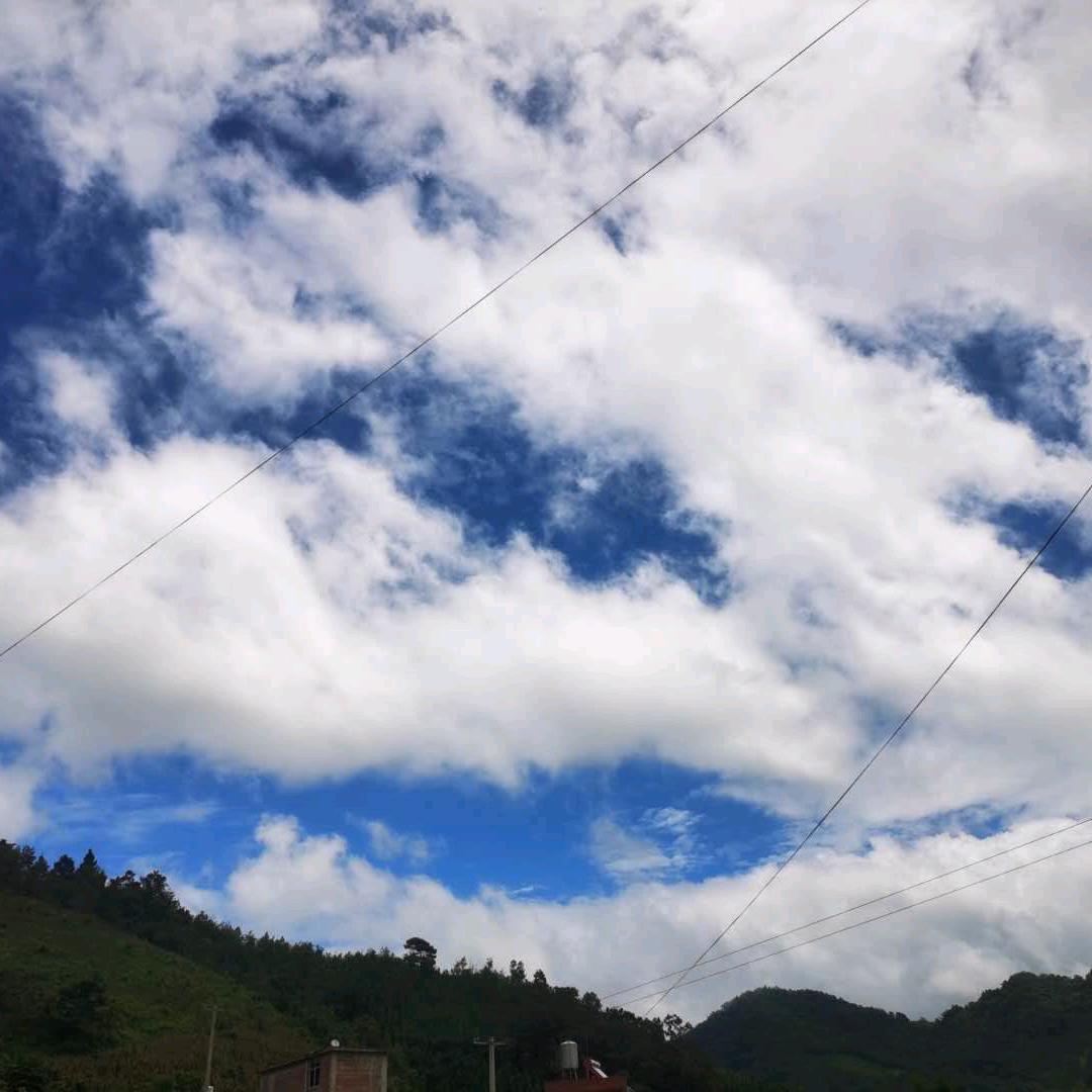 此账号已还给抖音