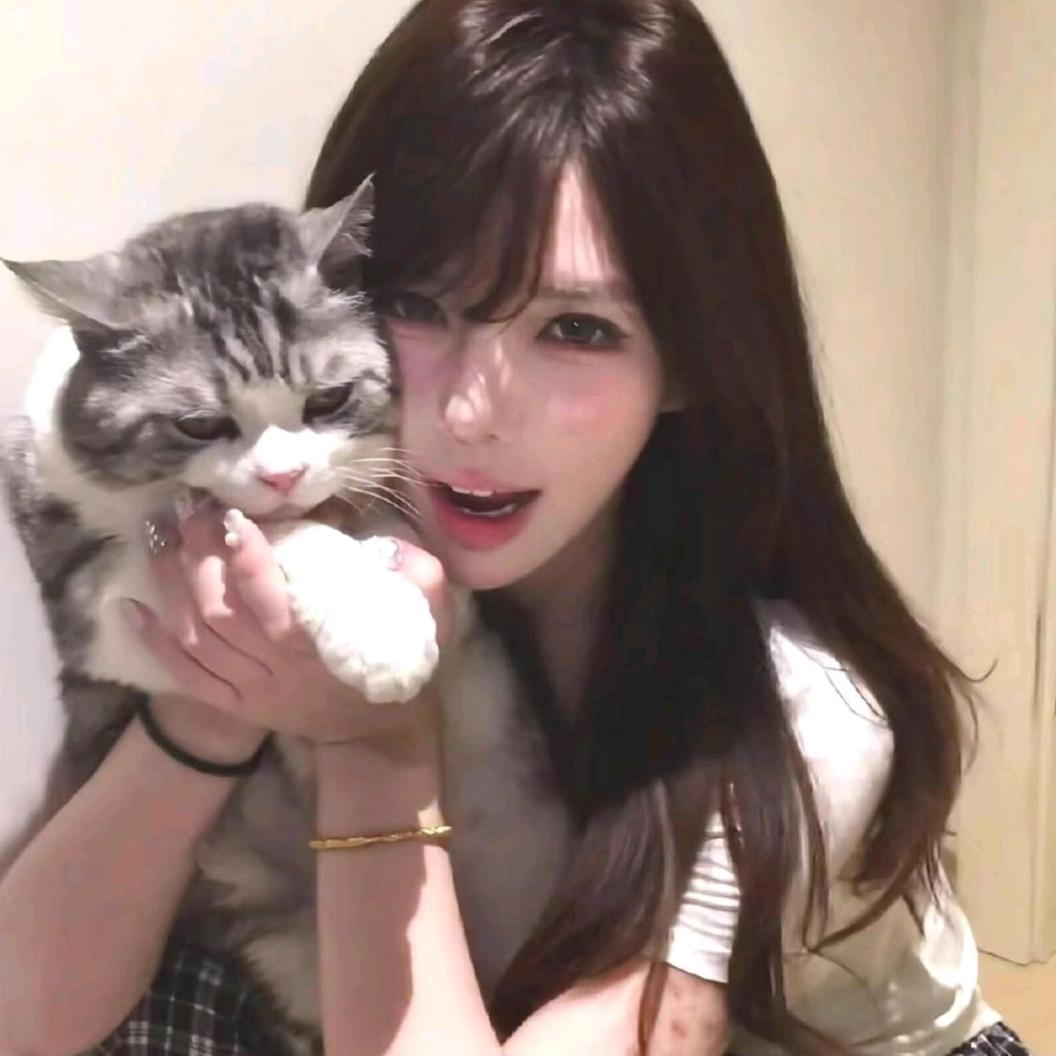 棉淮