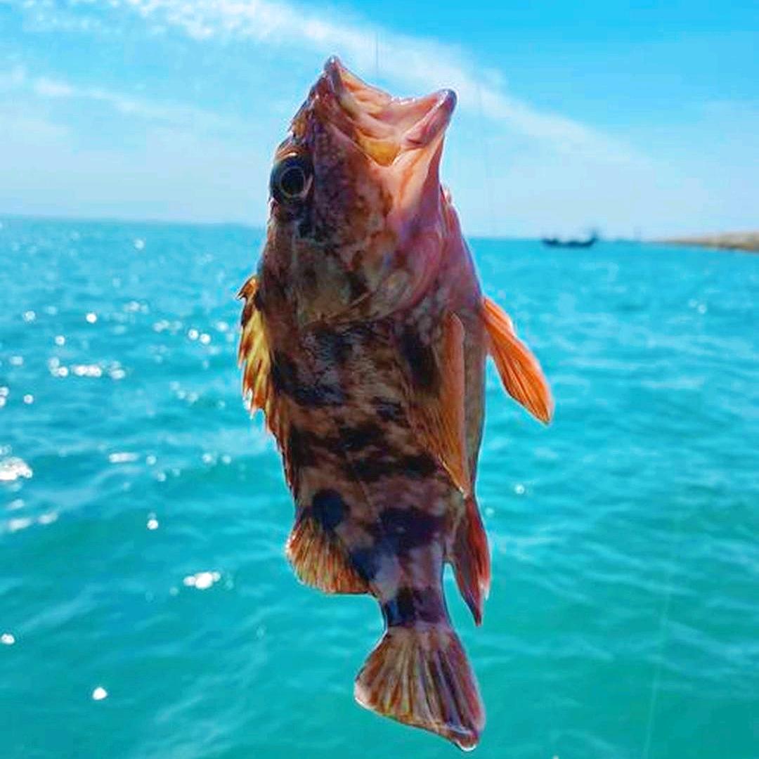 酷鱼海钓俱乐部