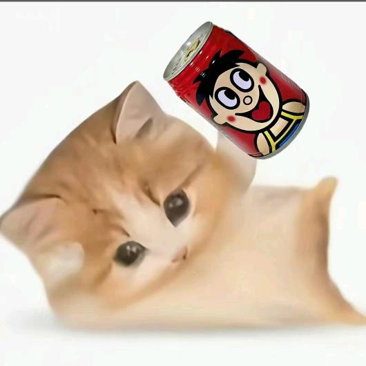 你头发乱了吘✨