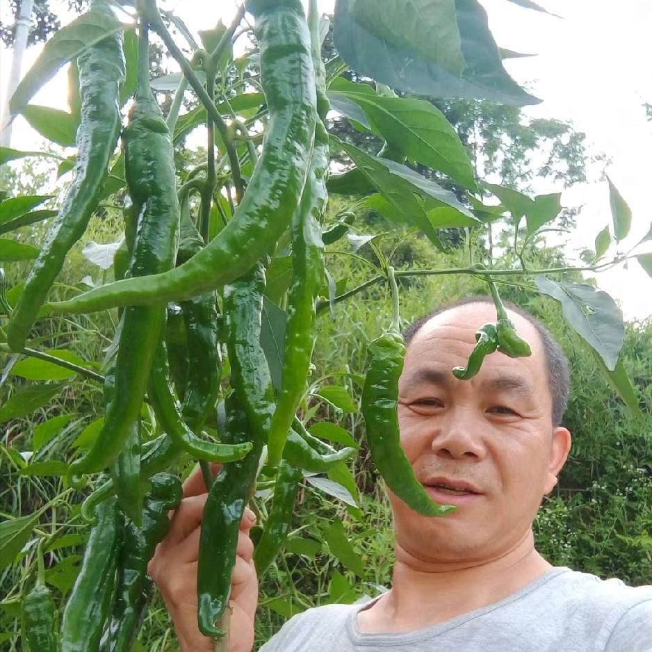 长冲老五几