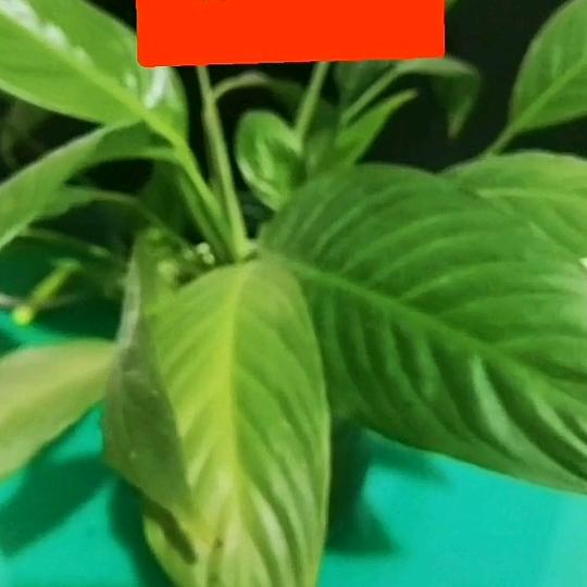 附近500米