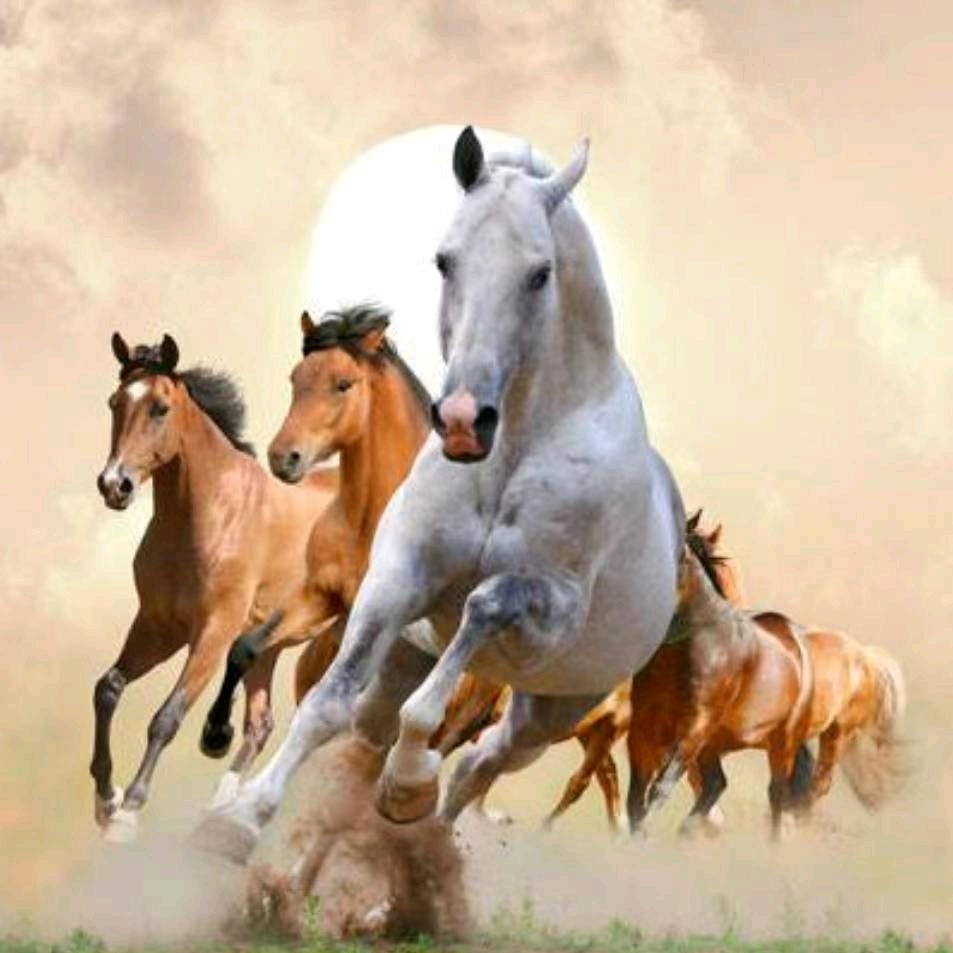 💋看破红尘💋